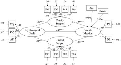 The Effect of Psychological Suzhi on Suicide Ideation in Chinese Adolescents: The Mediating Role of Family Support and Friend Support